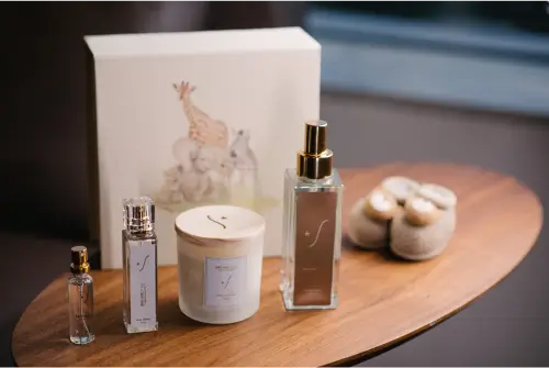 Identidade olfativa em velas perfumes Identidade Olfativa em velas e perfumes Senses Olfact